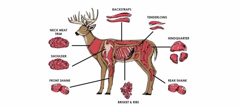Is Deer Meat Good for You? A Nutrition Guide