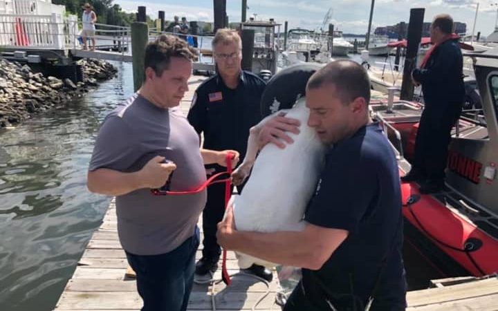 Man jumps off Bayonne Bridge